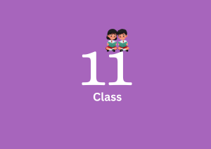 11th Standard
